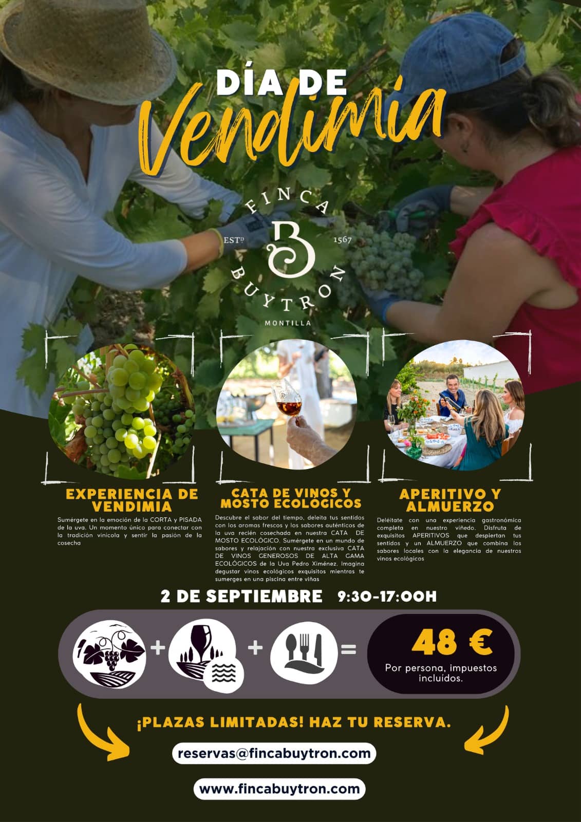 HARVEST DAY AT FINCA BUYTRÓN, CÓRDOBA.