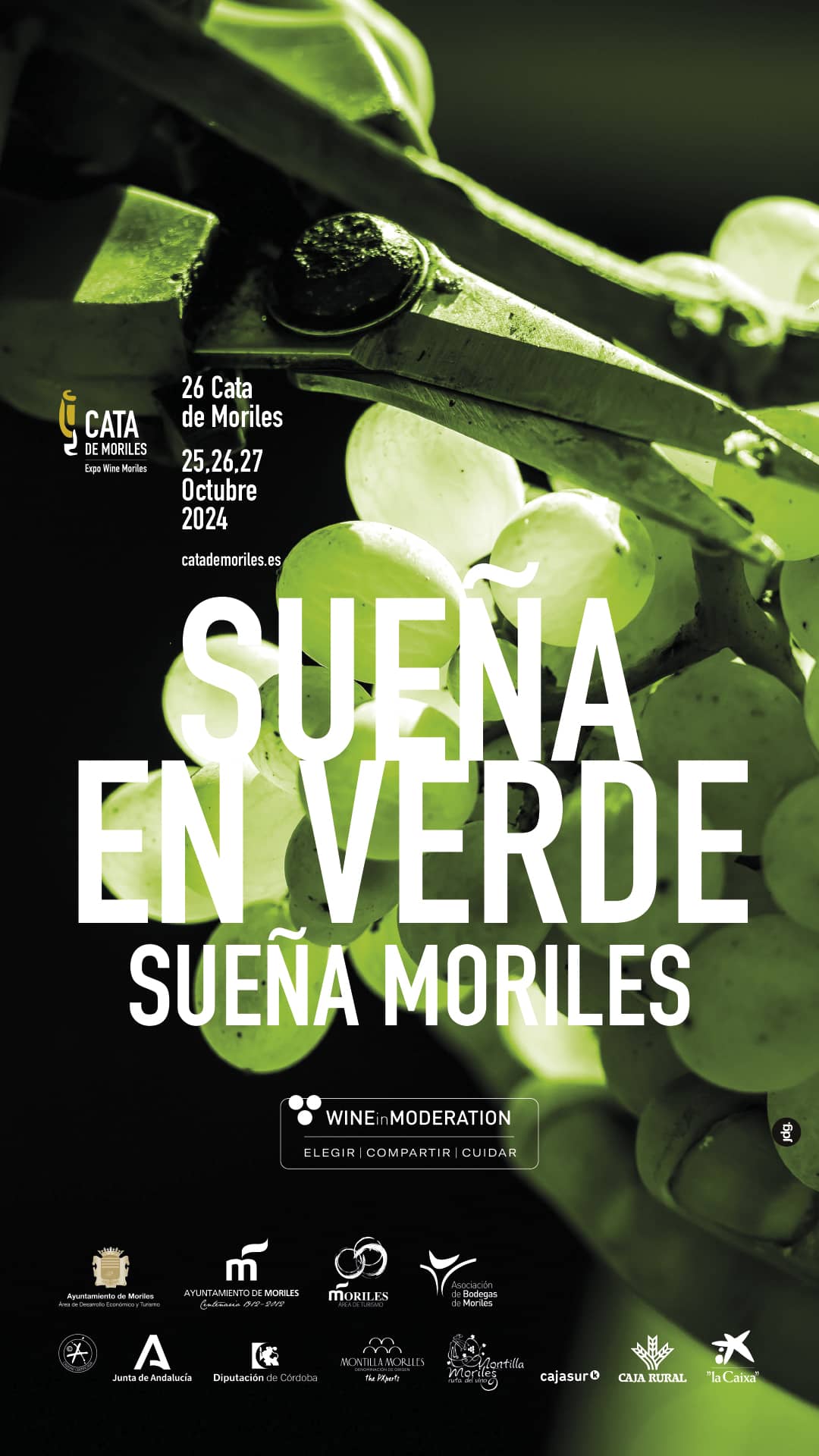 CATA DE MORILES 2024