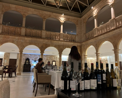 mision inversa icex madrid fusion vinos vino winefleuncer cata importador