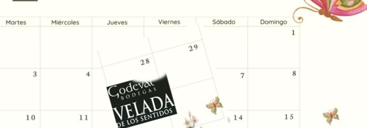 GODEVAL-EVENTO-VALDEORRAS-VINO-JUNIO