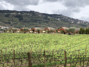 PACHECA DOURO WINETOURISM ENOTURISMO WINEFLUENCER VINO PORTUGAL VINHO ARTICULO ARTICLE HOTEL BARRICAS BARREL