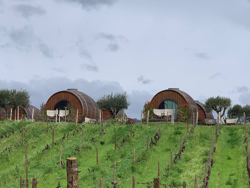 PACHECA DOURO WINETOURISM ENOTURISMO WINEFLUENCER VINO PORTUGAL VINHO ARTICULO ARTICLE HOTEL BARRICAS BARREL