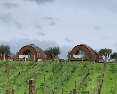 PACHECA DOURO WINETOURISM ENOTURISMO WINEFLUENCER VINO PORTUGAL VINHO ARTICULO ARTICLE HOTEL BARRICAS BARREL