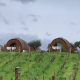 PACHECA DOURO WINETOURISM ENOTURISMO WINEFLUENCER VINO PORTUGAL VINHO ARTICULO ARTICLE HOTEL BARRICAS BARREL