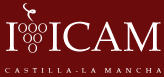 Servicios de formación y ponencias sector vitivinícola marketing ventas comercialización exportación enoturismo IVICAM Castilla La Mancha