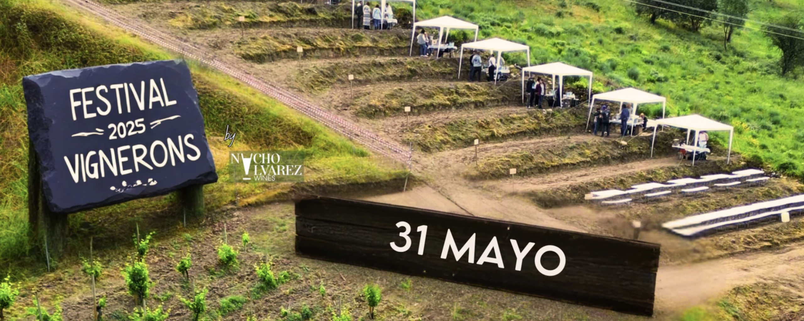 FESTIVAL DE VINO VIGNERONS
