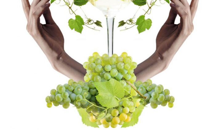 fiesta-del-albarino-2025-