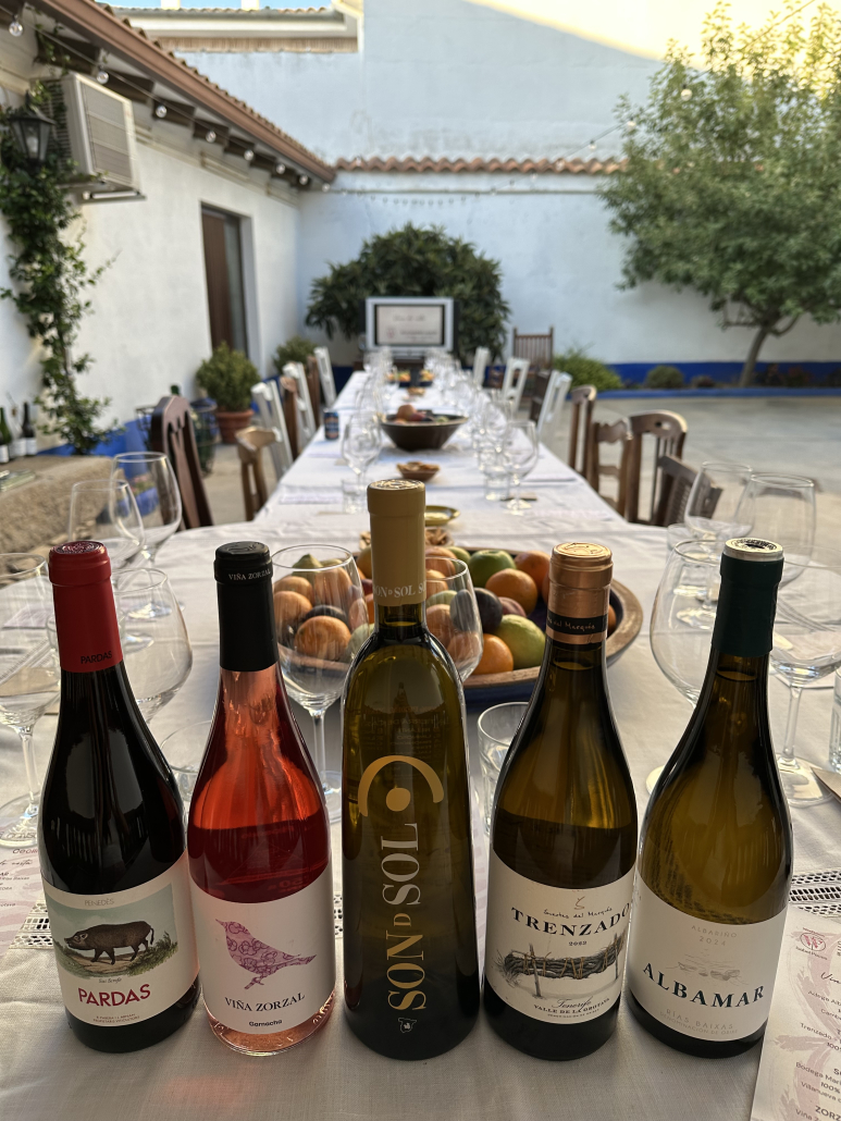 cata vino consuegra winefluencer enoturismo turismo plan toledo escapada madrid fin de semana