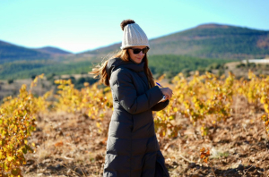 calaterra calatayud vino DOP encuentro ponencias cata jornada viñedo suelos