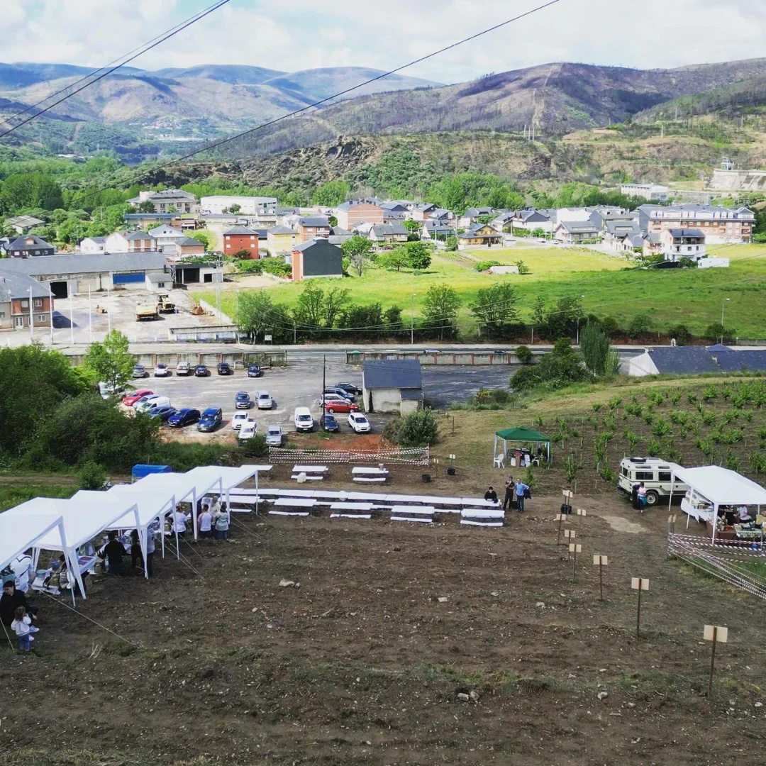 FESTIVAL DE VINO VIGNERONS . Bierzo