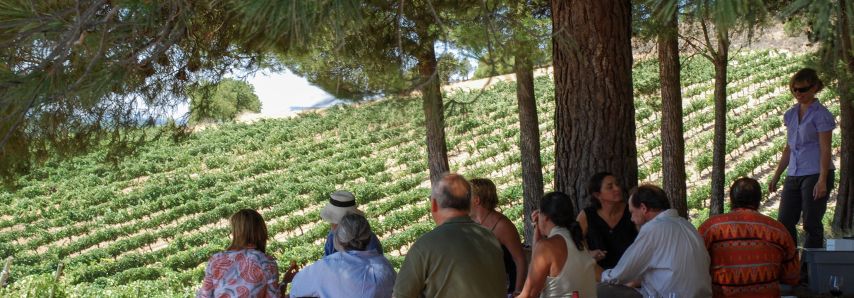 Viñedos, juegos y tradición: Bodegas Comenge. Diseña una experiencia familiar única.