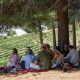 Viñedos, juegos y tradición: Bodegas Comenge. Diseña una experiencia familiar única.