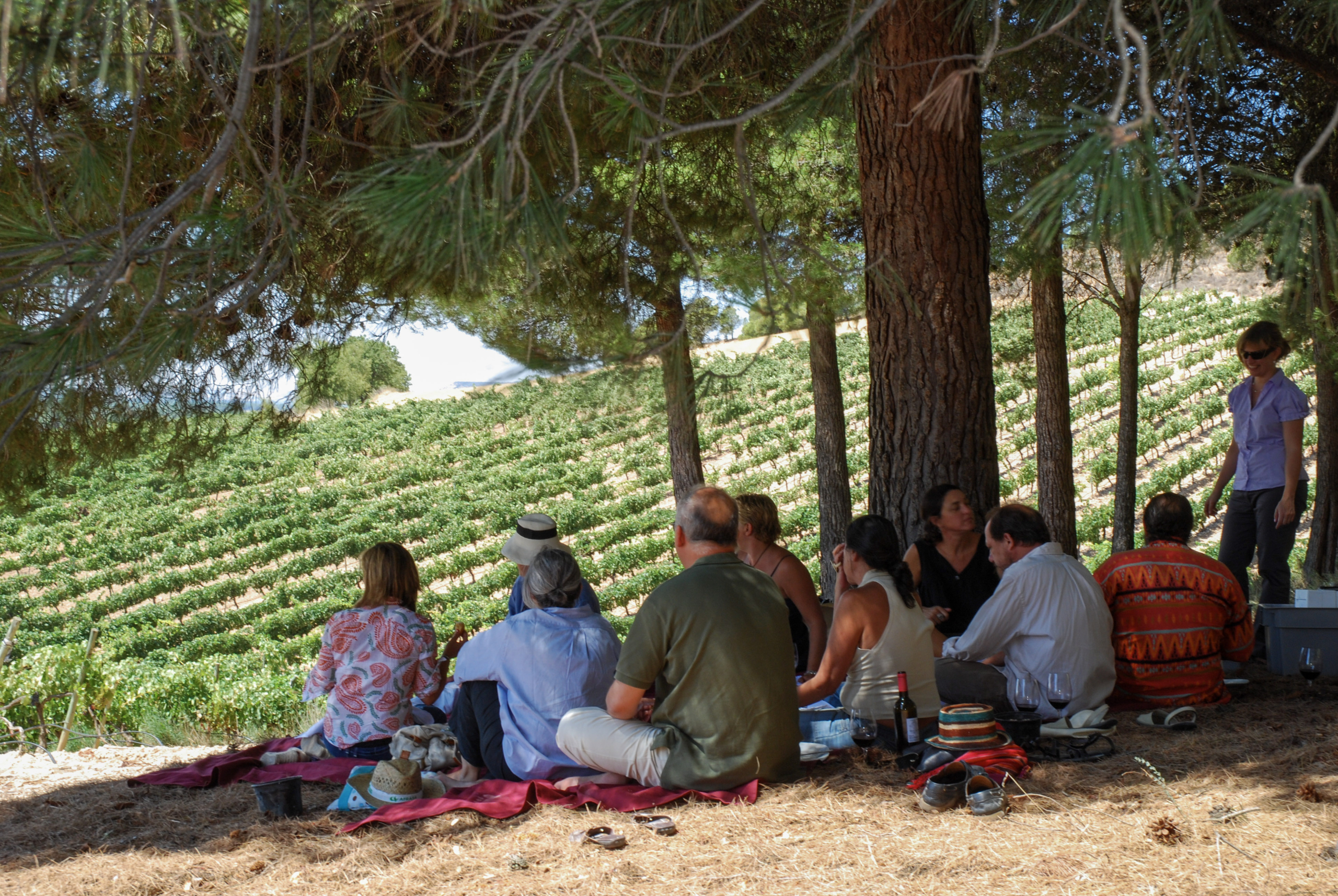 Viñedos, juegos y tradición . Visita para familias . Bodegas Comenge