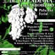 fiesta-vendimia-villarrobledo-albacete-vino-eventos-winefluencer-agenda-